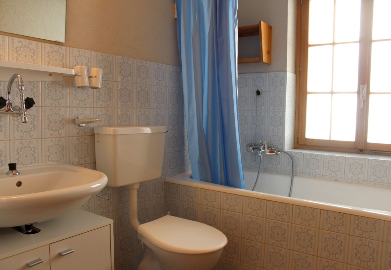 Appartement à Evolène - Chamois 29 - Proche de toutes commodités | Evolène